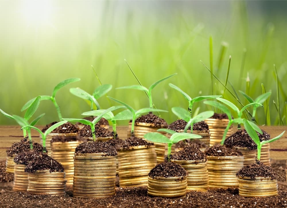 https://d300zch48kanqv.cloudfront.net/original_images/Growing-money.jpg